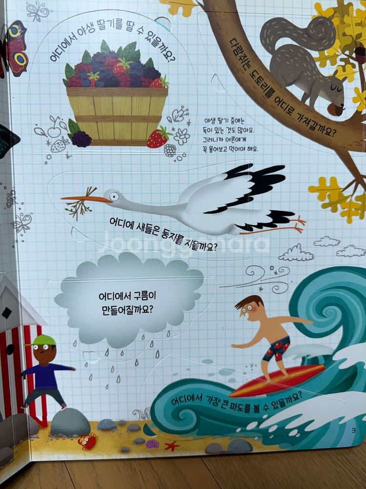 어스본 영재 플랩북 11권--2