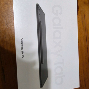 갤럭시 탭 s9 plus 5g 256g