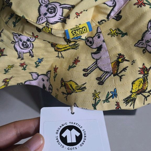 던스 돼지썬햇m