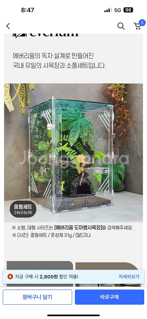 도마뱀 사육장--0