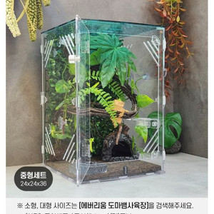 도마뱀 사육장