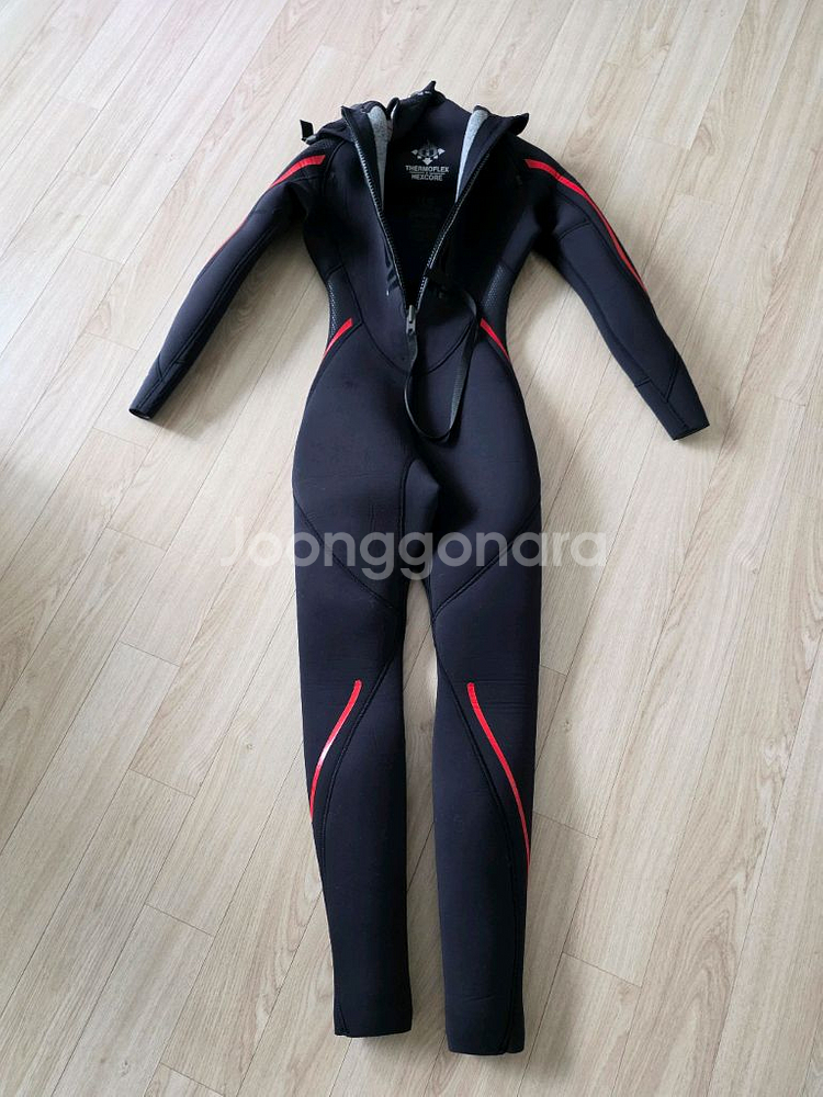 포스엘리먼트 프로테우스2 XSS--1