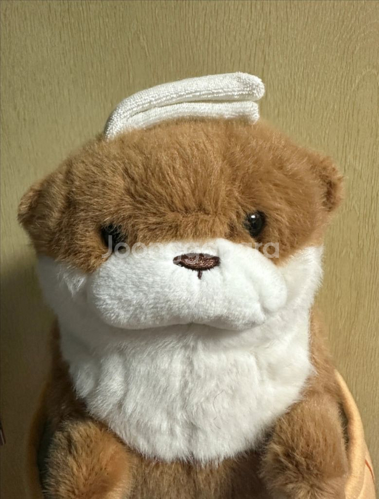 새상품 우소우소 온천욕하는 수달 인형 27cm--2