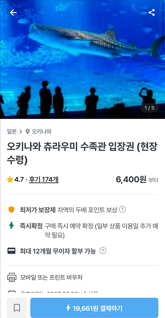 오키나와 츄라우미 수족관 입장권(현장수령) 성인1장 팜--0