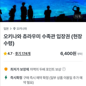 오키나와 츄라우미 수족관 입장권(현장수령) 성인1장 팜