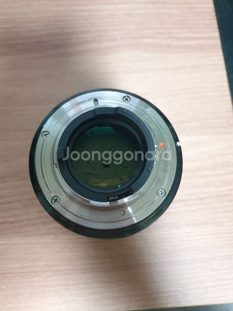 니콘 d780 + 시그마 아트 50mm + 니콘 20n--6