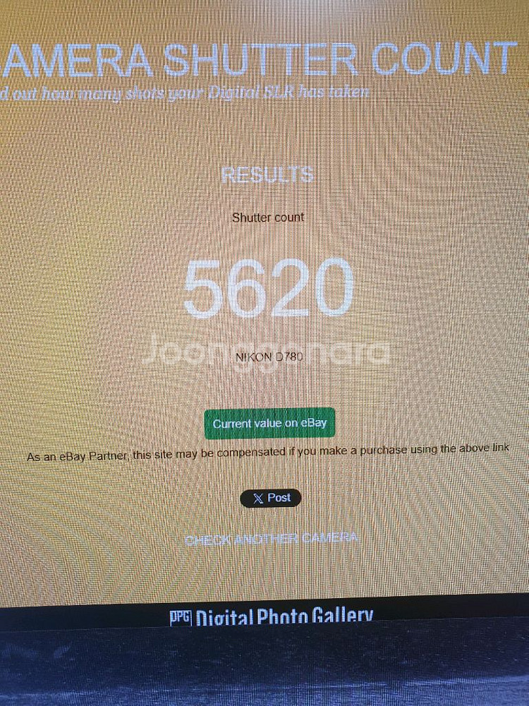 니콘 d780 + 시그마 아트 50mm + 니콘 20n--3