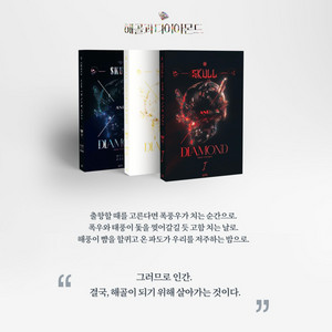 해골과 다이아몬드 소설책 구매