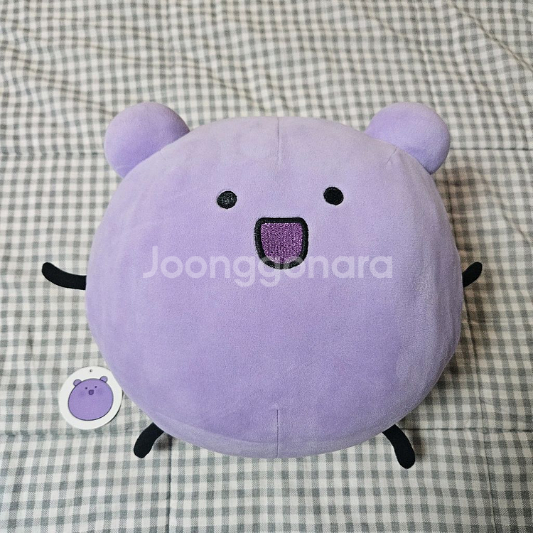 공대생너무만화 효모 인형 누이--0