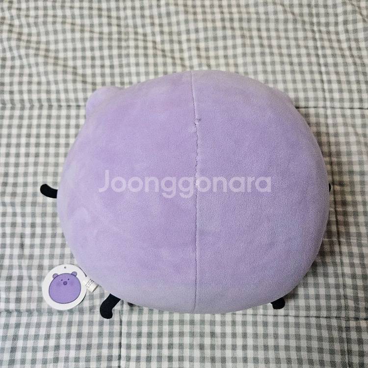 공대생너무만화 효모 인형 누이--1