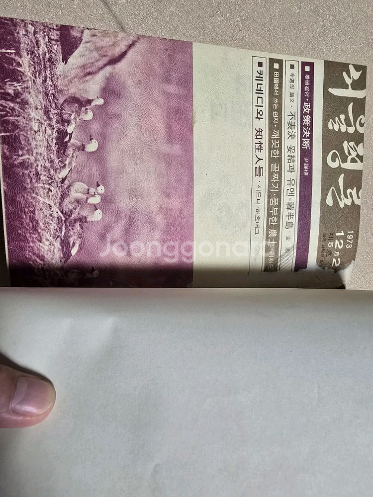 서울평론 1973~1975년 시사 교양주간지 서울신문사--3