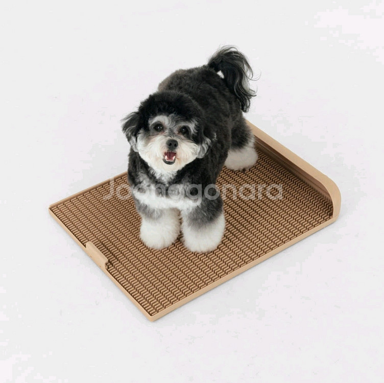 독톡배변판 연장형 라지--1