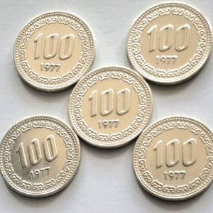 1977년100원동전5개를일괄판매
