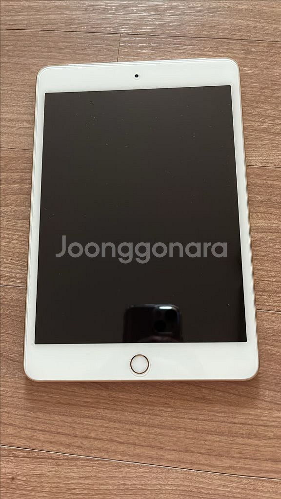 아이패드 미니4 골드 셀룰러 64gb--8