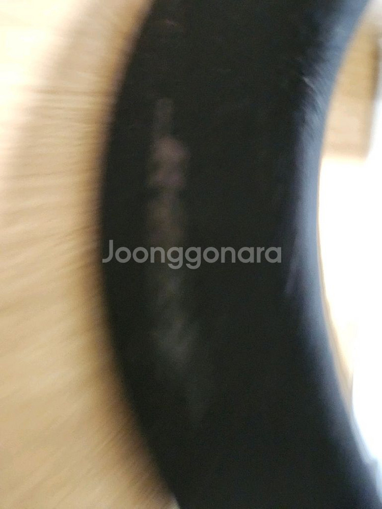 보스 사운드웨어 컴패니언 스피커--1