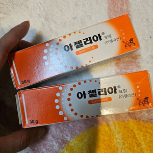 아젤리아