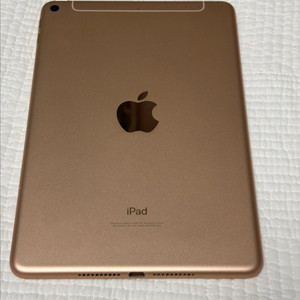 아이패드 미니 셀룰러