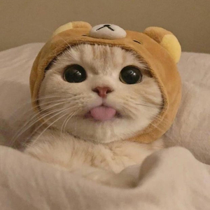 스팀배그 깡계팝니다~!