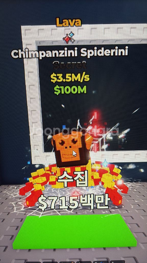 침팬거미 ( 라바, 폭죽 ) 팝니다!--0