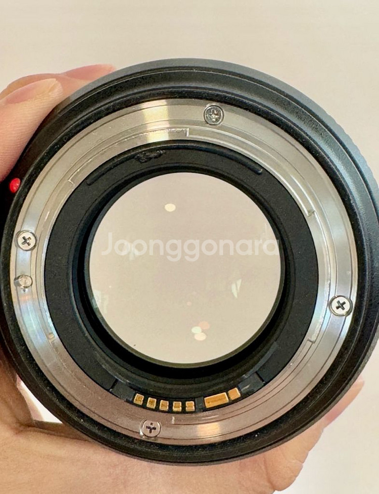 캐논 EF 85mm F1.4L IS USM 손만두 렌즈--4