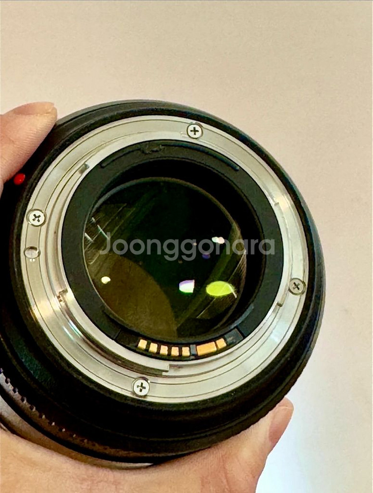 캐논 EF 85mm F1.4L IS USM 손만두 렌즈--2