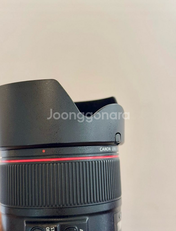캐논 EF 85mm F1.4L IS USM 손만두 렌즈--5