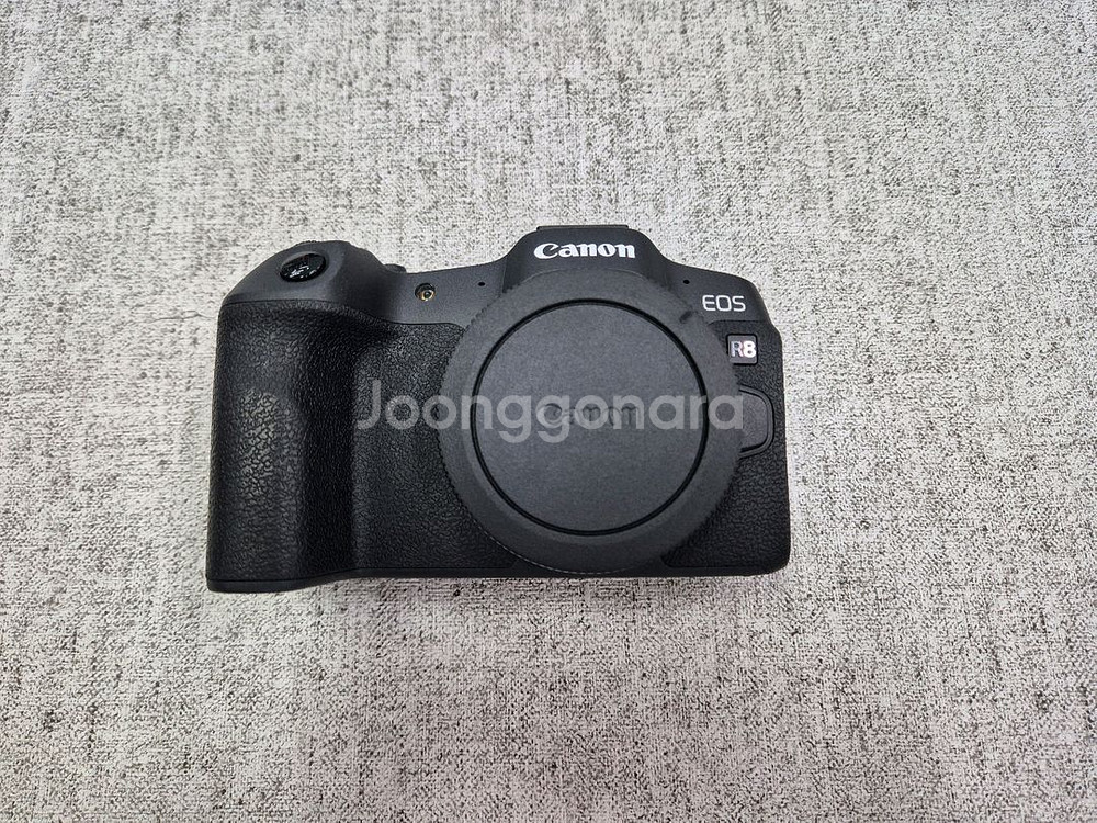 캐논 EOS R8--2