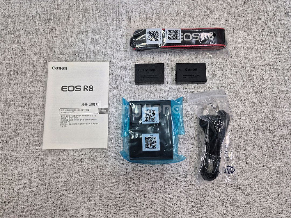 캐논 EOS R8--6