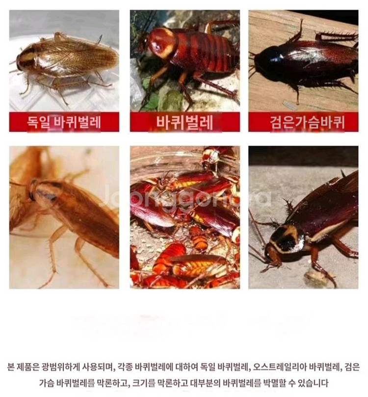 바퀴벌레약--0