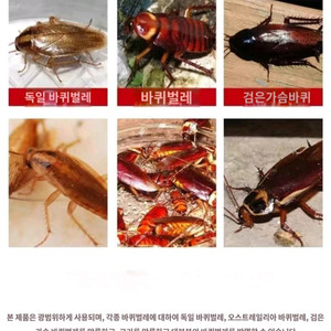 바퀴벌레약