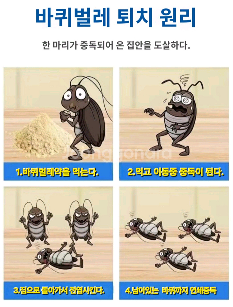 바퀴벌레약--2