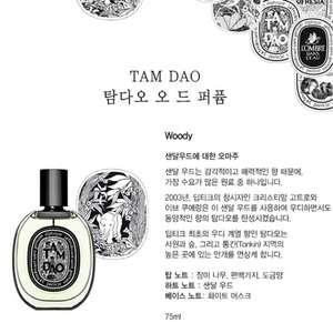 딥디크 TAM DAO