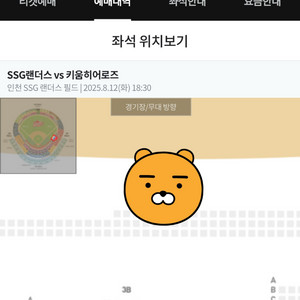 SSG랜더스 8/12일 키움전 1루 프들존 3연석 정가
