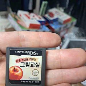 닌텐도 ds 그림교실