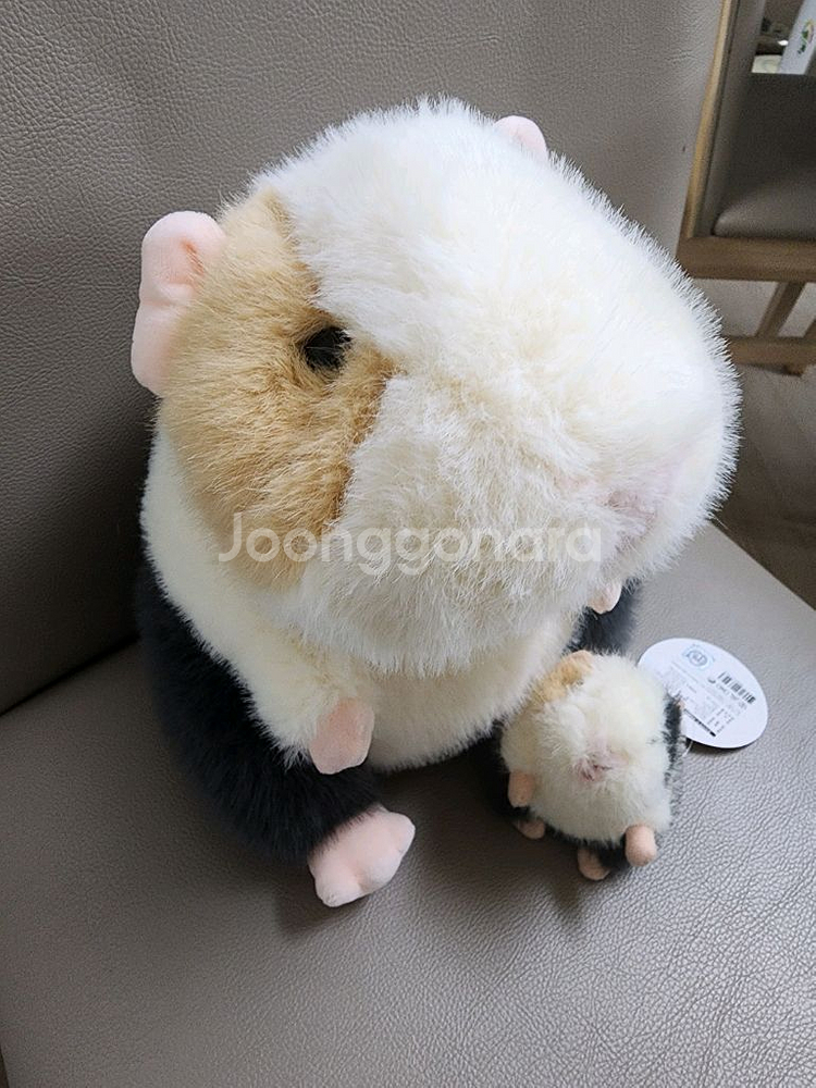 모루못토상 기니피그 인형--1