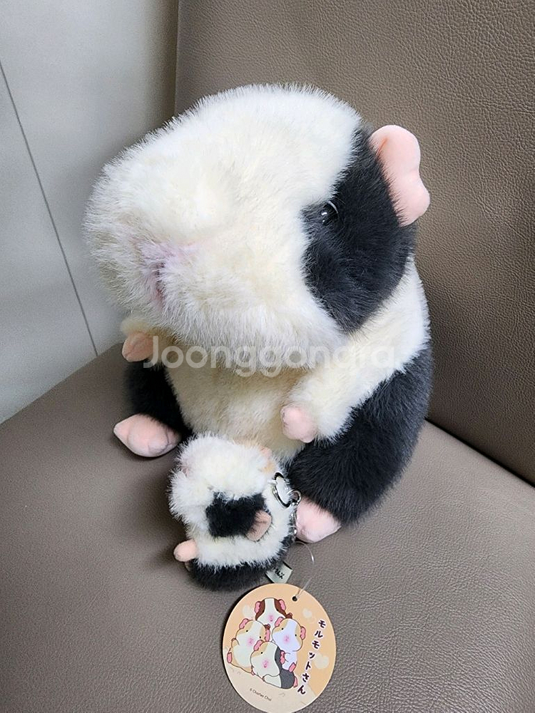 모루못토상 기니피그 인형--0