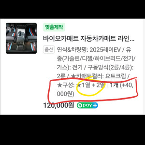 자동차 레이EV 바이오매트 팔아요