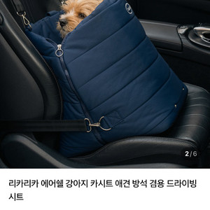 리카리카 강아지 카시트