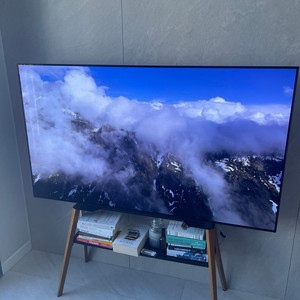 LG 올레드 65인치 OLED65C1KNA