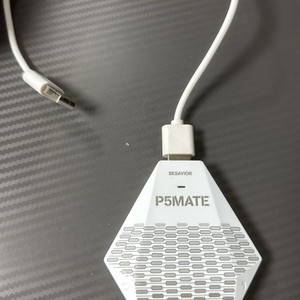 p5mate