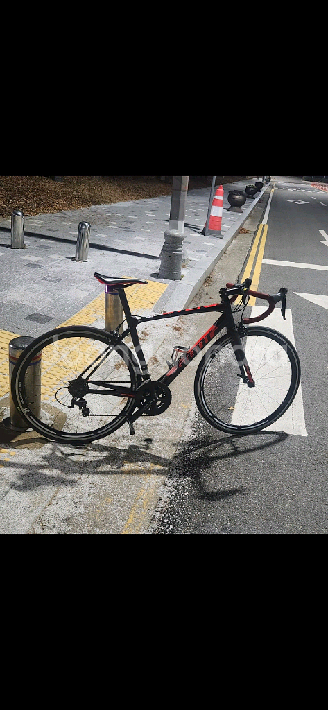 2017자이언트 tcr 105급 알류미늄--1