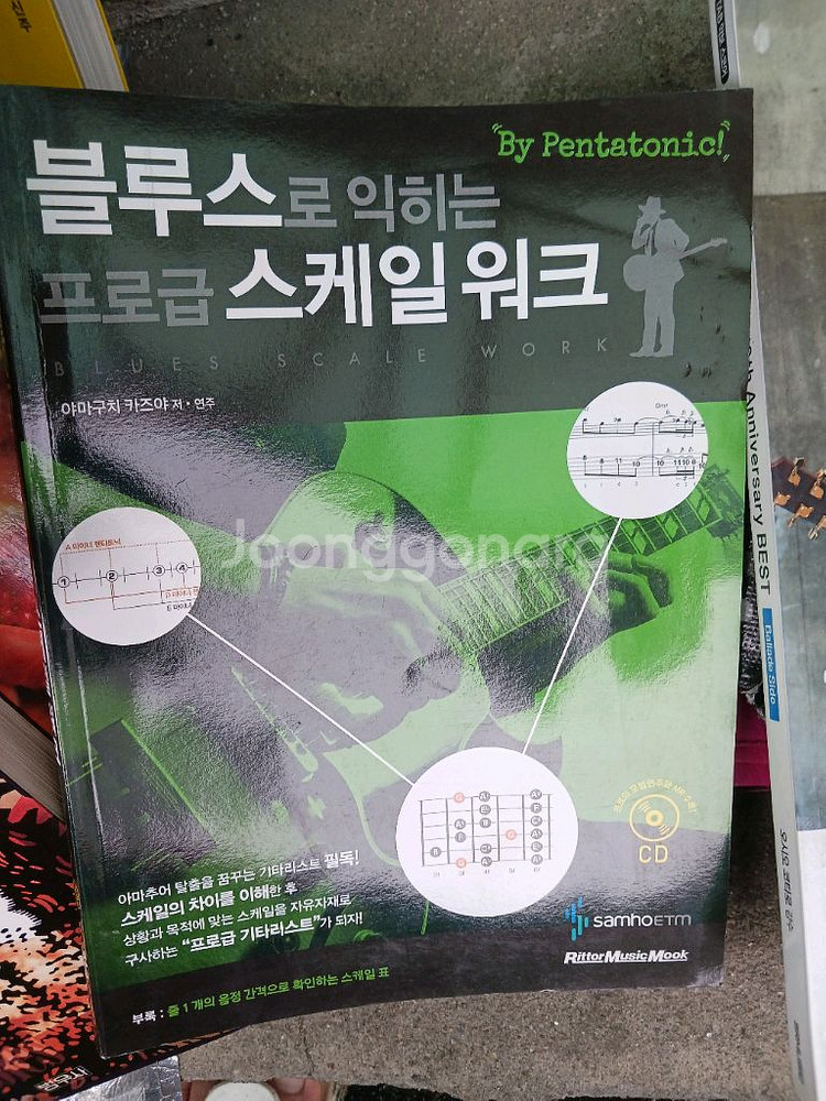 기타 관련책과 하모니카 책--1