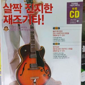 기타 관련책과 하모니카 책