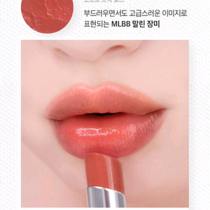 라비앙 립틴트 밤 브릭로즈