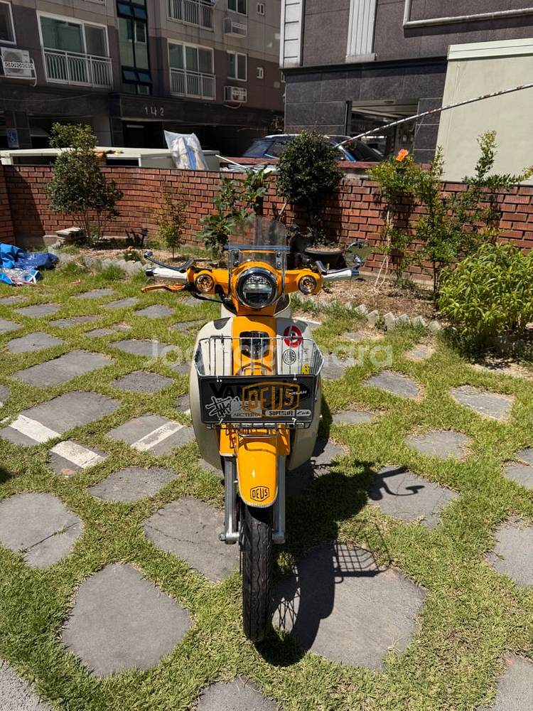 혼다 슈퍼커브 110 6000km--1