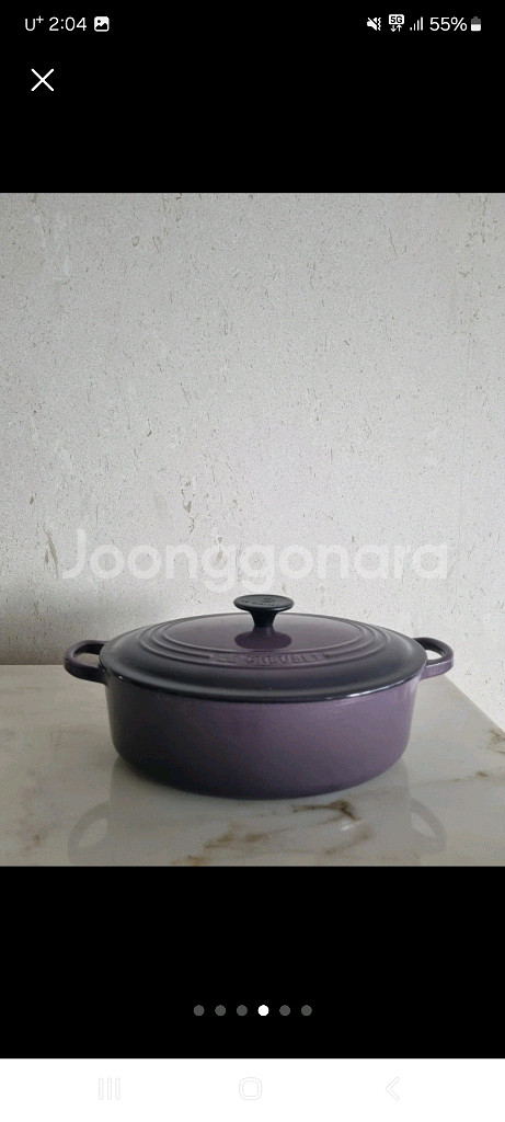 (미사용 새것) 르크루제 냄비 27 타원형--3