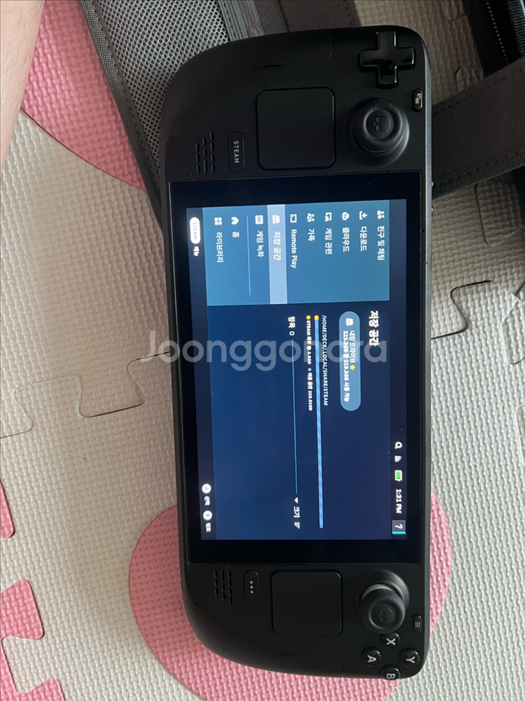 스팀덱 lcd 256g--1