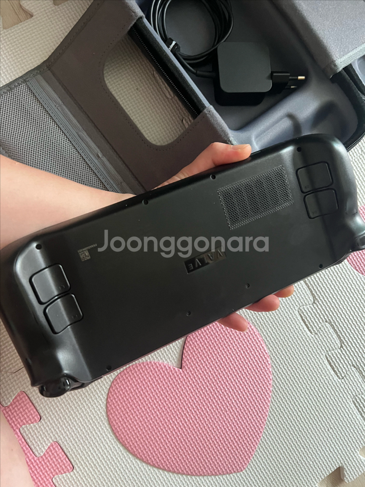 스팀덱 lcd 256g--4