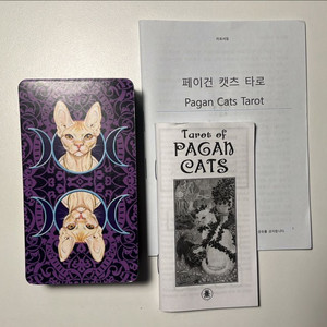 페이컨 캣츠 타로카드
