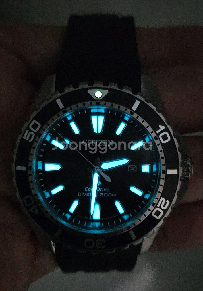 시티즌(CITIZEN) 프로마스터 다이버 태양광 에코--2